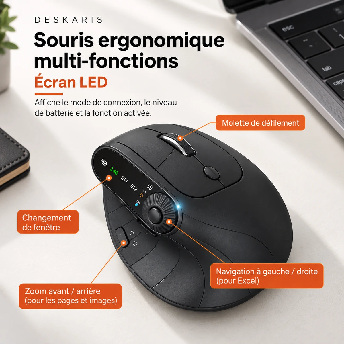 Souris verticale sans fil DESKARIS