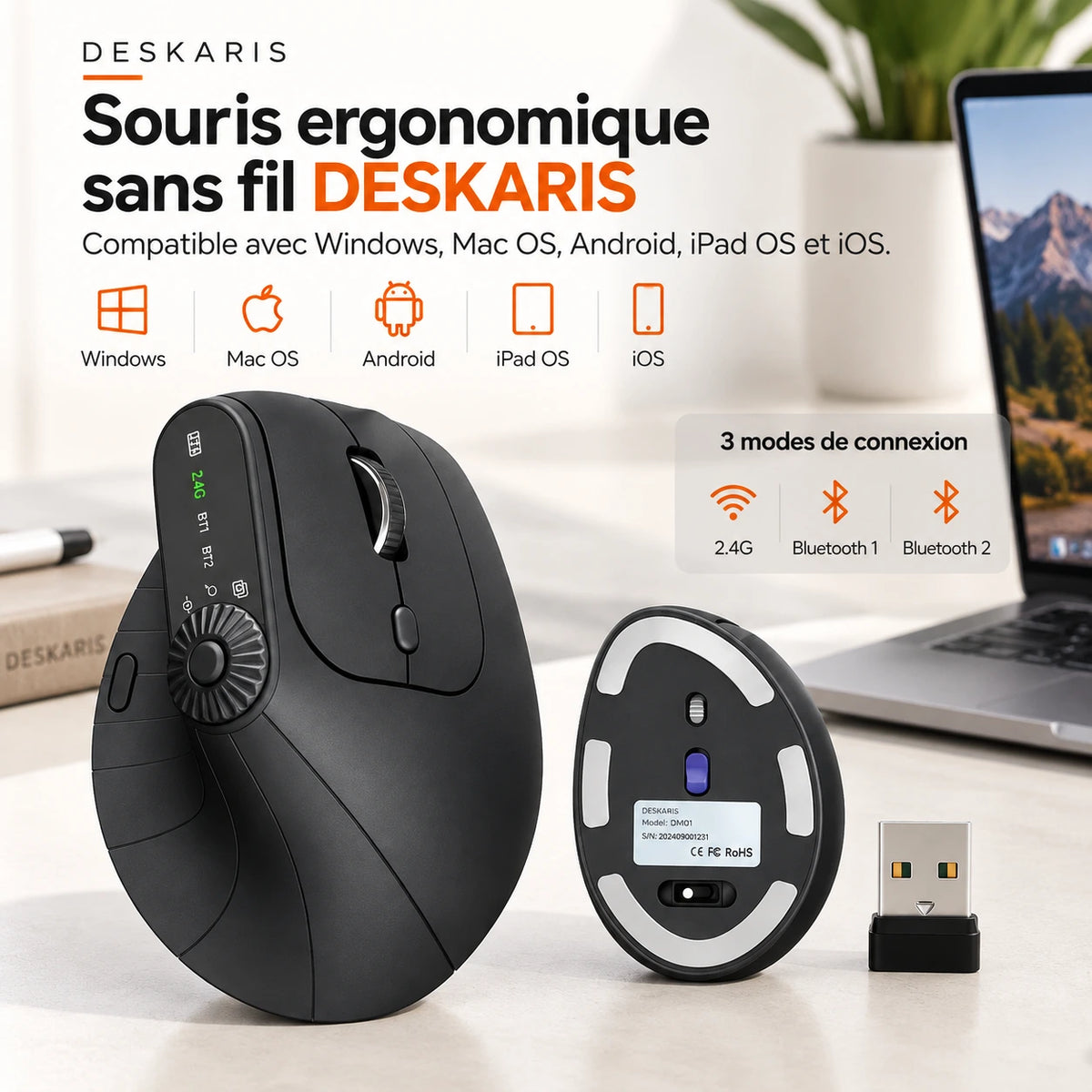 Souris verticale sans fil DESKARIS
